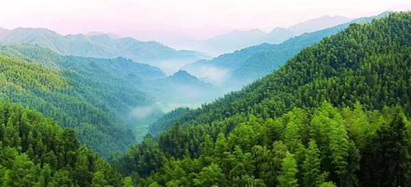 1765769247949450.png 20251214589674ad6579ba1778d52cc98797b8a2.png