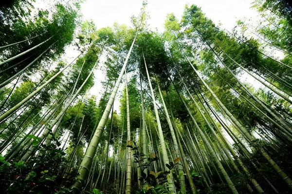 1765769264686340.png 20251214b6d8a2fd3f737cdd18b2e710419d21db.png