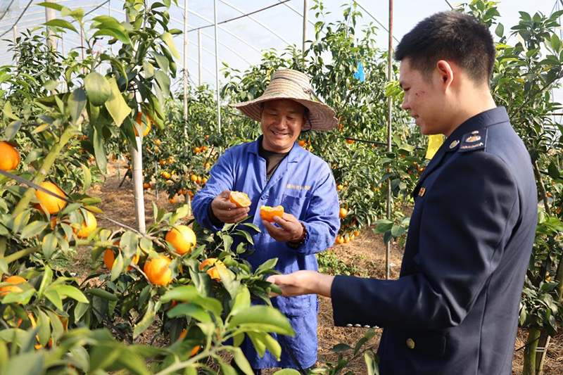 1766468441915704.png dbf3a8a13798dfd2650f2d9e3f6cedb5.png