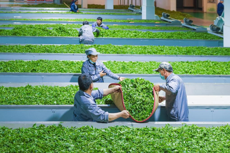 1766480005867934.png 40868_f299ff25-c991-475b-94ec-5a330e01f342.png