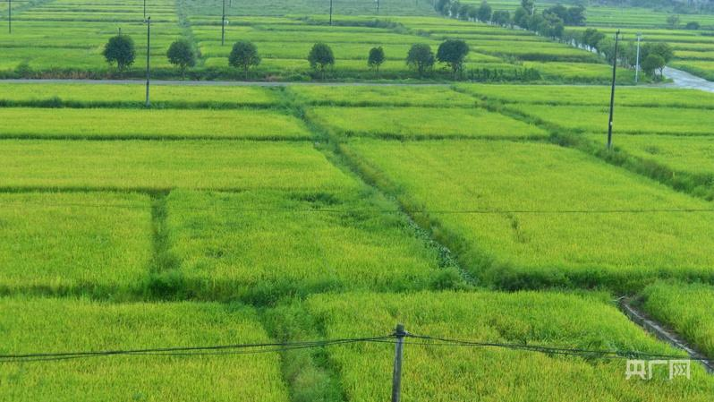 1770175974336668.png 1770175974336668.png