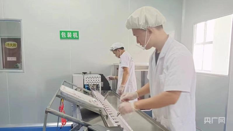 1770176088516506.png 1770176088516506.png